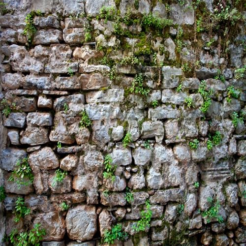 BELECO 10x10ft Fabric Vintage Brick Stone Wall Backdrop for Photography - Overgrown Ancient Rock Textured Background - Medieval Castle for Party Decorations, Studio Booth Photo Props - size: 10x10ft