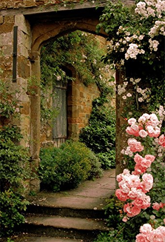 AOFOTO 6x8ft Vintage Garden Flowers Backdrop Blossoms Photography Background Medieval Castle Shabby Brick House Girl Adult Artistic Portrait Travel Photo Shoot Studio Props Video Drop Wallpaper Drape - size: 6x8ft