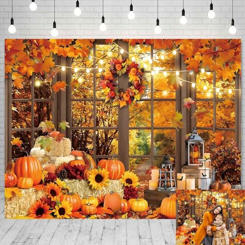 Fall Backdrop Fabric 10x8ft Autumn Scenery Through French Window Photo Background for Photography Fall Festival Thanksgiving Day Backdrop Portrait Shoot Studio Photo Booth Props - color: Fall Window 01