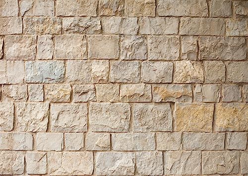 17x10ft Fabric Stone Wall Backdrop Ancient Rock Photography Background Brick Stone Wall Textured Backdrops Home Garden Wallpaper Birthday Party Cake Table Decor Photo Props - size: 17x10FT