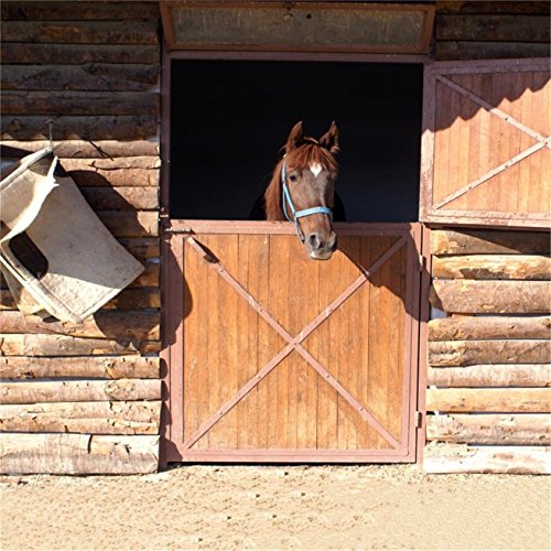 AOFOTO 6x6ft Rustic Wooden Horse Stable Backdrop Vintage Ranch Barn Log Cabin Farm Stall West Wild Photography Background Western Cowboy Theme Birthday Kentucky Party Decoration Photo Studio Props - size: 6x6ft