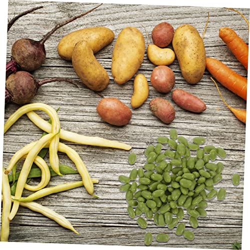 Happyyami 1 Pack Simulated Green Beans Simulation Vegetable Fake Soybean Faux Artificial Rustic Indoor Lifelike Chickpeas Shop Display Bean Ornament Kitchen Bean Adornment Fake Grain