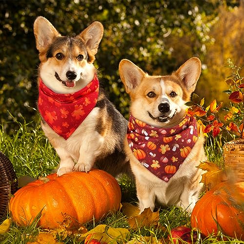 Sweetude 50 Pieces Thanksgiving Fall Dog Bandanas Bulk Pumpkin Maple Leaves Autumn Plaid Bandanas for Dogs Soft Bibs Triangle Scarves for Small Medium Large Pets Costume(31.5 x 21.7 x 21.7 Inch) - color: Maple Leaves, size: 31.5 x 21.7 x 21.7 Inch