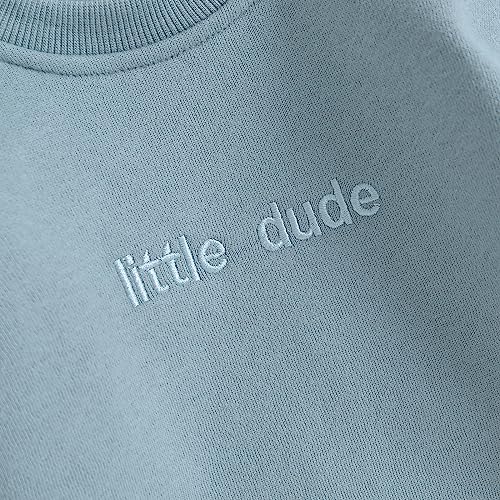 VISGOGO Newborn Infant Baby Boy Girls Oversized Romper Little Dude Sweater Onesie Coming Home Outfit Neutral Clothes - color: Blue, size: 12-18 Months