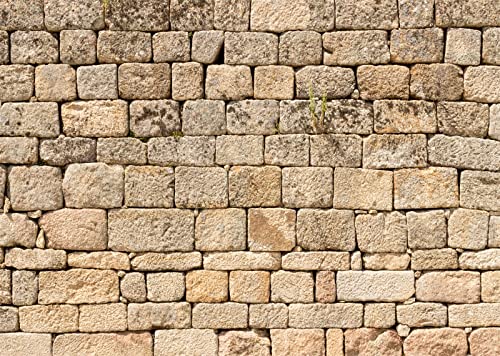 BELECO 15x10ft Fabric Vintage Brick Stone Wall Backdrop for Photography - Ancient Rock Textured Background Wallpaper for Castle, Party Decorations, Studio Booth Photo Props - size: 15x10FT