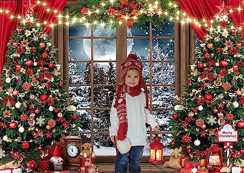 10x8ft Christmas Window Backdrop Snowy Winter Holiday Photo Booth Banner Xmas Tree Decor Backdrop Xmas Party Background Family Holiday Photography Background 229 - size: 10x8ft