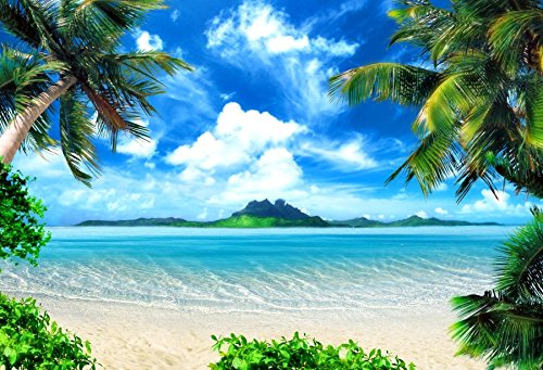 9x6ft Tropical Beach Decorations Backdrop Hawaiian Ocean Summer Palm Trees Leaves Blue Sky Background Hawaii Luau Party Seaside Island Wedding Birthday Party Banner Photo Booth - color: Green, size: 9x6ft