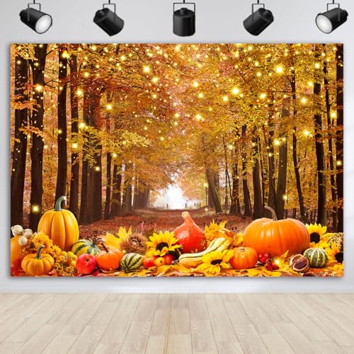 Fall Photo Backdrop Fall Photography Backdrop Thanksgiving Day Friendsgiving Party Decorations Autumn Maple Leaves Pumpkin Background Supplies Farm Harvest Banner 7x5ft - size: 7x5FT