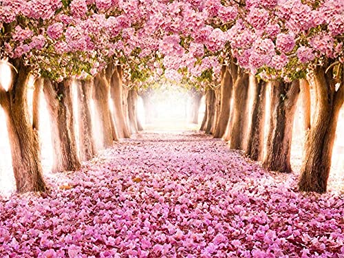 AOFOTO 8x6ft Spring Cherry Blossom Backdrop Sweet Pink Flowers Tree Floral Petal Boulevard Photography Background Wedding Tea Party Decoration Girl Bride Woman Lady Portrait Photo Studio Props Vinyl - size: 8x6ft
