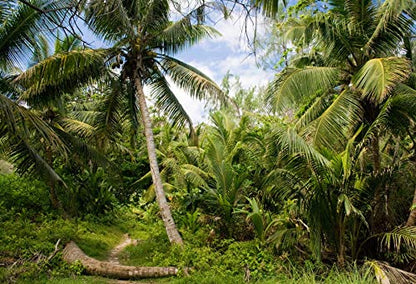 10x6.5ft Tropical Island Backdrops for Photography Coconut Palm Trees Background Island Wedding Backdrop Summer Theme Party Siesta Holiday Green Spring Summer Photo Studio Video Props - size: 10x6.5ft