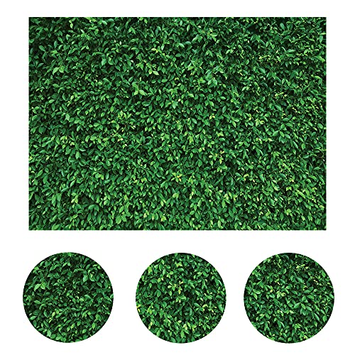 LYWYGG 5X3FT Green Leaves Photography Backdrops Mmicrofiber Nature Backdrop Birthday Background for Birthday Party Seamless Photo Booth Prop Backdrop CP-87-0503 - size: 5X3FT