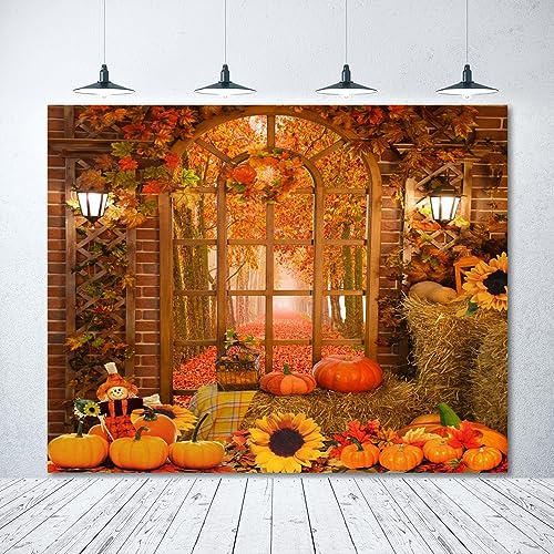 Fall Thanksgiving Backdrop Autumn Pumpkin Harvest Window Backdrop for Photography Background 10x8ft Maple Leaves Forest Haystack Photo Backdrop Kids Baby Birthday Party Portrait Prop Banner - color: NSW12879