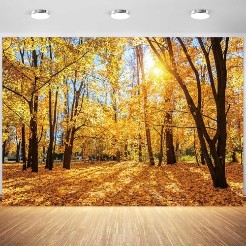 5x4ft Fall Backdrop Autumn Scenery Park Photography Background Tree Yellow Fall Leaves View Nature Landscape Decorations Portraits Supplies Wallpaper Photo Studio Props - color: Black, size: 5x4ft