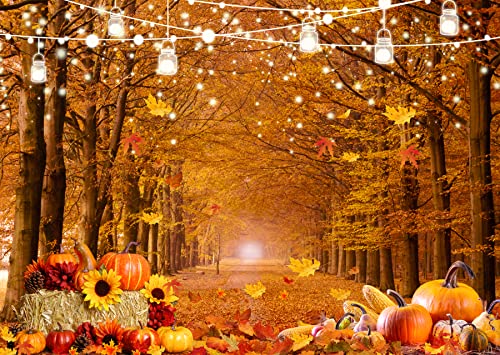 8x6ft Fall Forest Backdrop Autumn Leaves Pathway Pumpkin Background for Thanksgiving Party Harvest Festival Photography Decorations Rustic Photo Booth Banner 185 - size: 8x6ft