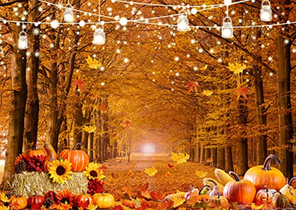 8x6ft Fall Forest Backdrop Autumn Leaves Pathway Pumpkin Background for Thanksgiving Party Harvest Festival Photography Decorations Rustic Photo Booth Banner 185 - size: 8x6ft