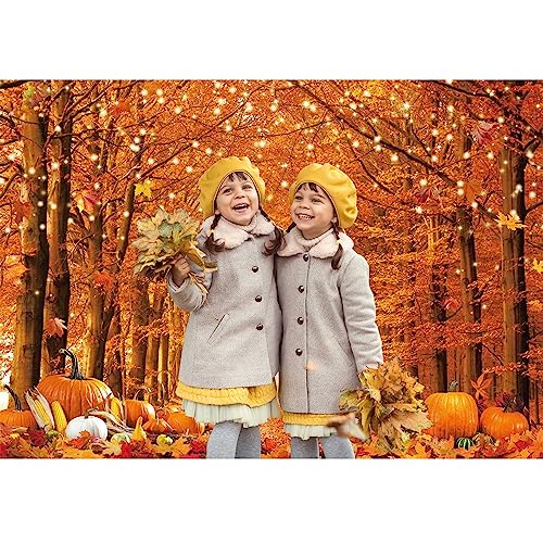 8x6FT Fall Photo Backdrop for Photography Autumn Forest Scene Thanksgiving Maple Leaves Background Fall Friendsgiving Pumpkin Party Decorations Banner Photo Props - size: 8x6ft