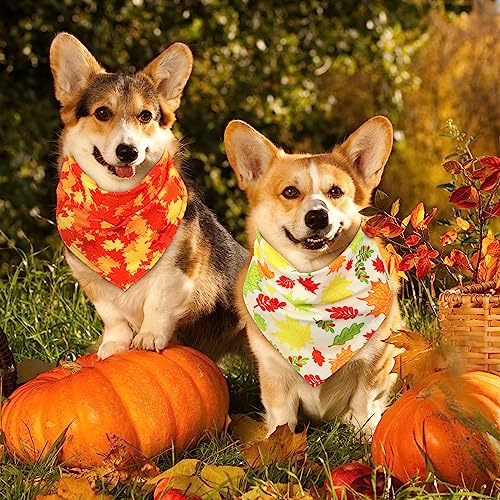 Sweetude 50 Pcs Thanksgiving Fall Dog Bandanas Bulk Pumpkin Maple Leaves Autumn Plaid Bandanas for Dogs Soft Bibs Triangle Scarves for Small Medium Large Pets Costume (25.6 x 17.7 x 17.7 Inch) - color: Maple Leaves, size: 25.6 x 17.7 x 17.7 Inch