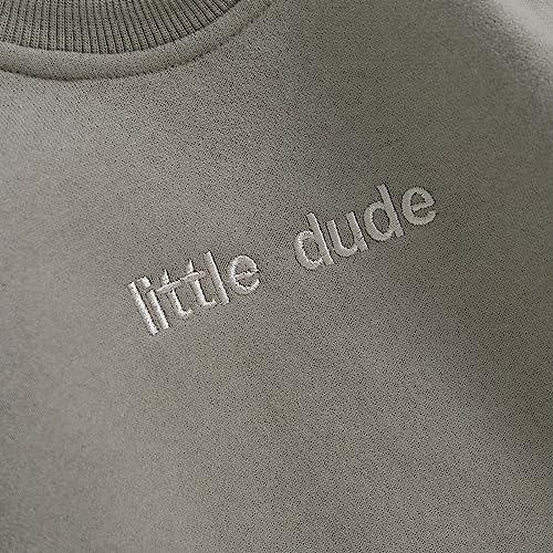 VISGOGO Newborn Infant Baby Boy Girls Oversized Romper Little Dude Sweater Onesie Coming Home Outfit Neutral Clothes - color: Grey, size: 6-12 Months