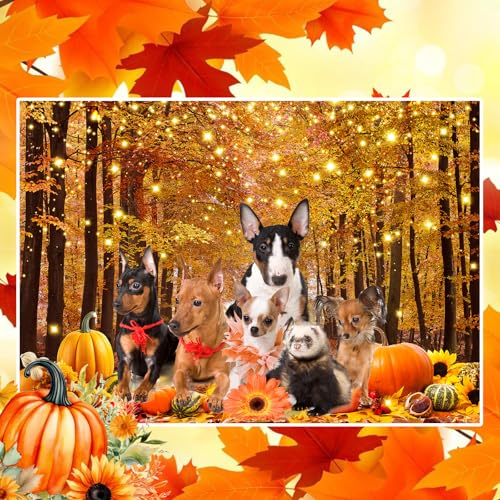 Fall Photo Backdrop Fall Photography Backdrop Thanksgiving Day Friendsgiving Party Decorations Autumn Maple Leaves Pumpkin Background Supplies Farm Harvest Banner 10x8ft - size: 10x8FT