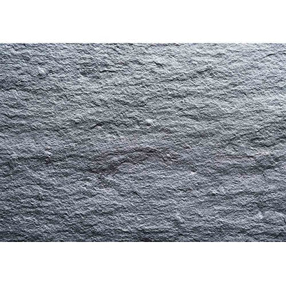 wall26 - Rough Graphite Background. - Removable Wall Mural | Self-Adhesive Large Wallpaper - 66x96 inches - color: Artwork - 08, size: 66"x96"