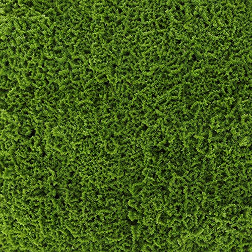 3rd Street Inn Greenery Panel - Artificial Hedge Wall - Fake Plant Wall Backdrop - Privacy Screen - Interlocking Panels - Indoor Outdoor Décor (12, Moss) - color: Moss