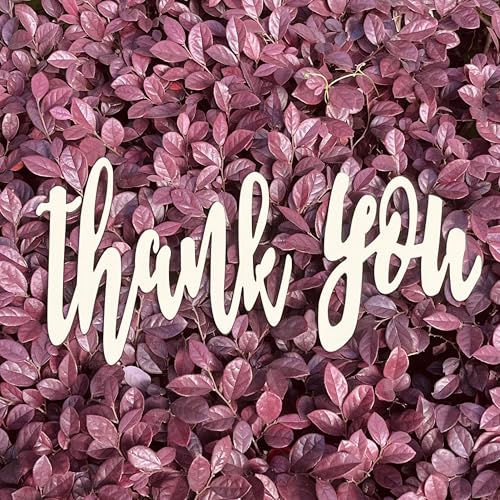 Thank You Sign for Backdrop,Rustic Wedding Sign,Engagement Photo Thank You,Wedding Sign Prop,Teacher Appreciation Thanksgiving Supplies