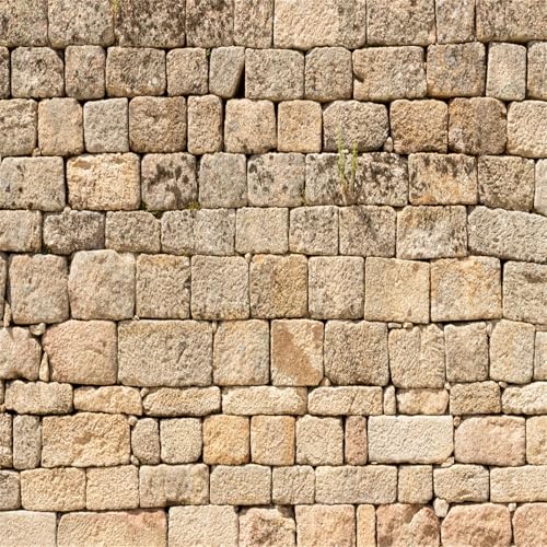 BELECO 10x10ft Fabric Vintage Brick Stone Wall Backdrop for Photography - Ancient Rock Textured Background Wallpaper for Castle, Party Decorations, Studio Booth Photo Props - size: 10x10FT