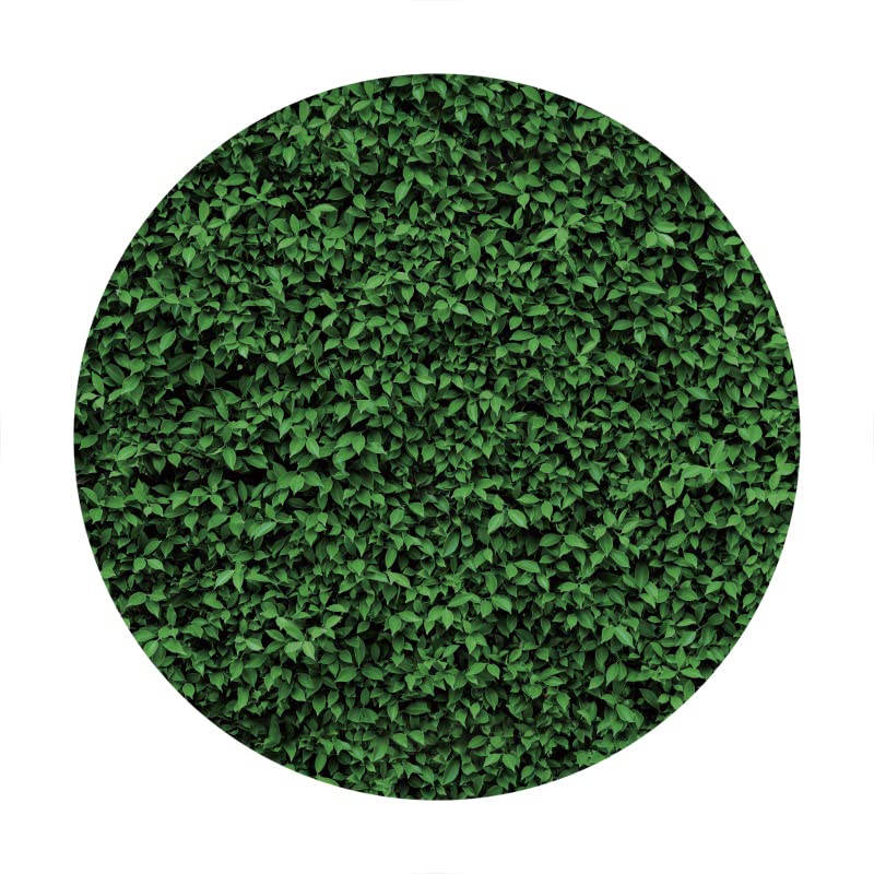 Laeacco Green Leaves Round Backdrop 6.5x6.5FT Greenery Circle Photography Backdrop Green Grass Ivy Wall Newborn Baby Shower Birthday Party Decoration Banner Bridal Shower Wedding Photo Studio Props - size: 6.5FT