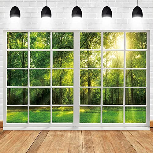 Renaiss 6x4ft Spring Window Scenery Backdrop Polyester White Window Sunshine Green Forest Trees Grass Natural Landscape Wonderland Photography Background for Wedding Baby Party Decor Photo Props - color: WSNWH17968, size: 6x4ft