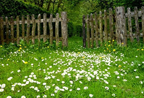 AOFOTO 6x4ft Spring Garden Daisy Flower Backdrop Rustic Wood Fence Summer Meadow Photography Background Forest Wonderland Grass Florets Country Hiking Suburbs Picnic Girl Boy Scouts Photo Studio Props - size: 6x4ft
