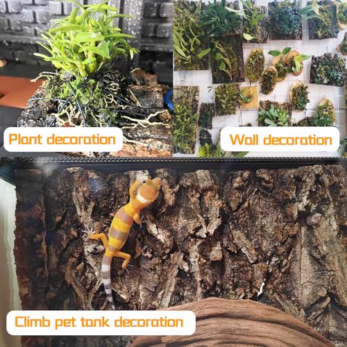 Hamiledyi 6PCS Cork Terrarium Background 15.7x11.8in Natural Large Cork Bark Backdrop Reptile Climbing Mat Tank Habitat Decor for Spider Lizard Chamelon Turtle Beared Dragon - size: 6PCS-15.7x11.8in