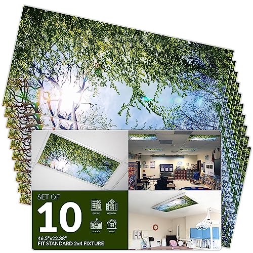 OCTO LIGHTS Tree Fluorescent Light Covers 2x4 Fixtures (22.38" x 46.5") Ceiling Light Cover for Classroom and Office, Decorative Light Covers for Ceiling Lights, Office Light Covers - (Pack of 10) - color: Evergreen Ash Tree, size: 10pk