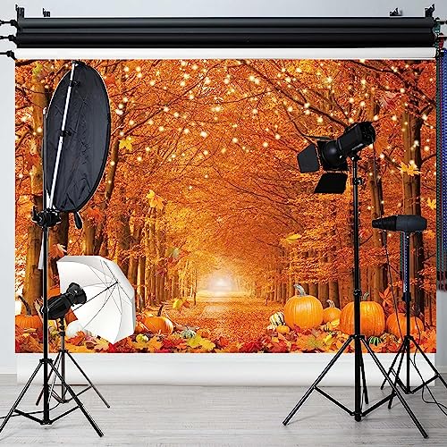 10x8FT Fall Photo Backdrop Maple Leaf Pumpkin for Photography Background Autumn Outdoor Party Decorations Fall Autumn Thanksgiving Day Photo Banner - size: 10x8ft