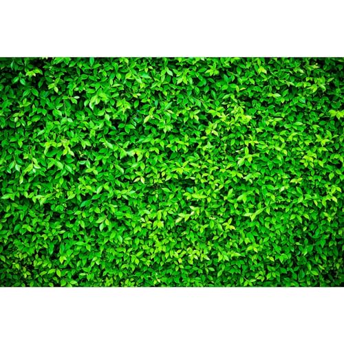 Green Leaves Backdrop Greenery Leaf Wall Photography Background Green Grass Ivy Backdrop Decor for Bridal Baby Shower Birthday Wedding Party Backdrops Photo Studio Props Cake Table Decor 5x3ft - color: Grass_Green, size: 5x3ft