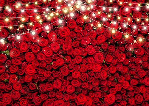 10x8ft Valentines Backdrop Vintage Romantic Red Rose Background Anniversary Party Decorations Banner X-97 - size: 10x8ft