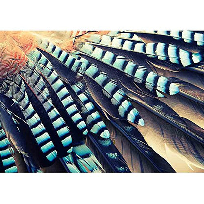wall26 - Wing of Jay (Garrulus Glandarius) Close Up - Removable Wall Mural | Self-Adhesive Large Wallpaper - 66x96 inches - color: Artwork - 10, size: 66"x96"