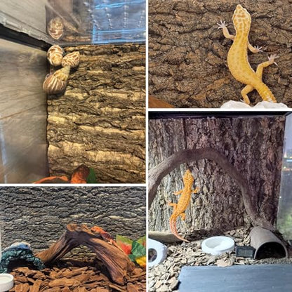 Hamiledyi Cork Terrarium Background 11.8x7.9in 6PCS Natural Reptile Cork Bark Flats Terrarium Board Bearded Dragon Climbing Wall Mat Tank Decor for Lizard Chamelon Snake Turtle Spider Crested Gecko - size: 6PCS-11.8x7.9in