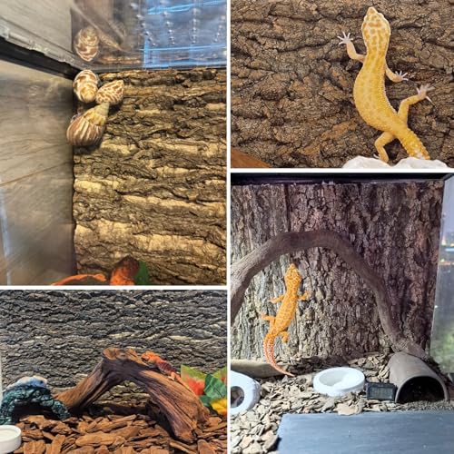 Hamiledyi Cork Terrarium Background 11.8x7.9in 4PCS Natural Reptile Cork Bark Flats Terrarium Board Bearded Dragon Climbing Wall Mat Tank Decor for Lizard Chamelon Snake Turtle Spider Crested Gecko - size: 4PCS-11.8x7.9in