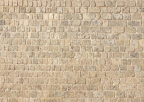 BELECO 10x6.5ft Fabric Vintage Brick Stone Wall Backdrop Textured Brick Rock Stone Wall Photography Background Medieval Castle Stone Wall for Party Decorations Studio Booth Photo Props - size: 10x6.5FT