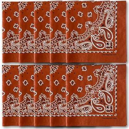 The Peacock Crew Premium Soft Cotton Bandanas Pack for Men and Women Paisley 22 x 22 inches - color: Pack of 10 Terracotta