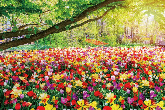 10x6.5ft Spring Blooming Floral Backdrop Colorful Plant Flowers National Park Photography Background Rustic Nature Scenery Backgrounds for Kids Birthday Party Decor Wedding Photo Booth Props - color: Spring Floral, size: 10x6.5ft
