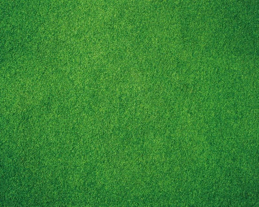 Kate Photography Floor Mats Green Grassland Floor Backdrop Wall Rubber Mat Newborn Photography Props for Professional Photo Shoot Studio 5x4ft - color: Green Grass, size: 5x4ft